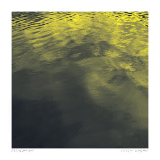 Oscillation